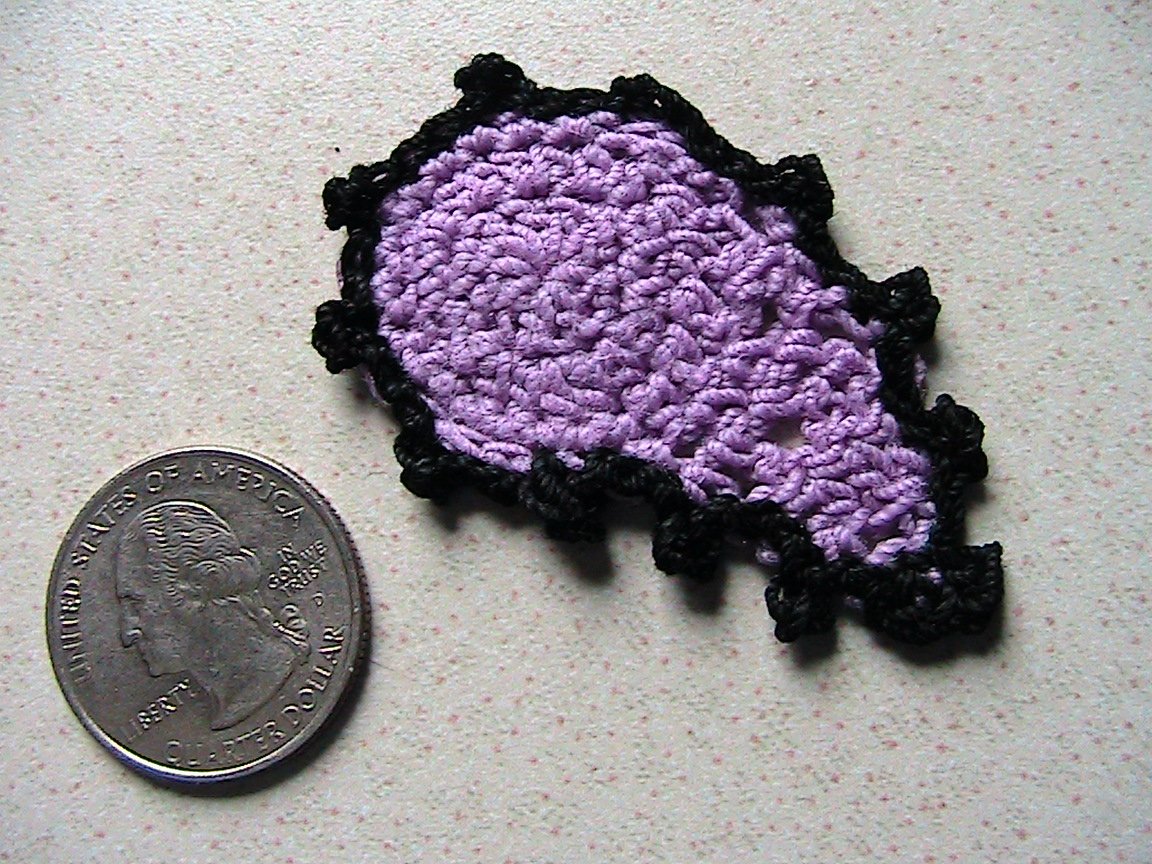 Small PAISLEY Crochet Applique