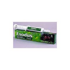 Exodus Paste Apple flavored paste wormer for horses