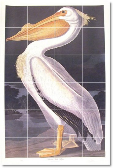 Audubon Birds Wall Tiles Room Renovations Design Commercial Idea