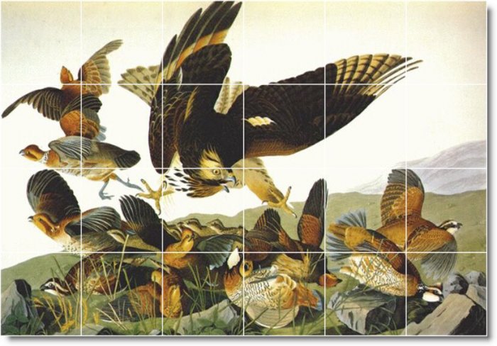 Audubon Birds Mural Tiles Room Contemporary Renovations Interior