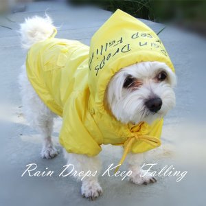 Dog Designer Raincoat XS-XL Jacket Adjustable Hood