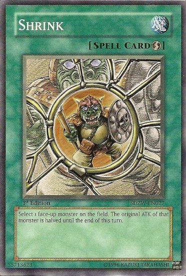 Shrink *Virtual Card for PC game*