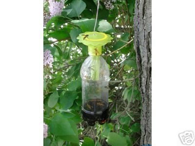 RECYCLABLE SODA BOTTLE WASP TRAP REUSABLE
