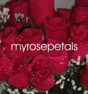 84 Silk Rose Flowers with Raindrops-Wedding Roses Flowers - Red