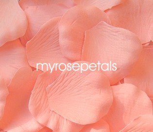 Petals - 1000 Silk Rose Petals Wedding Favors - Solid Colors - Apricot