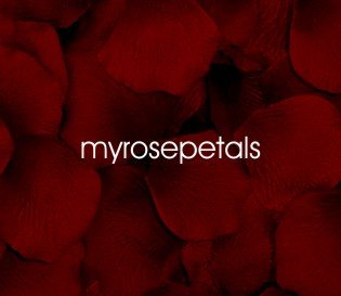 Petals - 1000 Silk Rose Petals Wedding Favors - Solid Colors - Burgundy