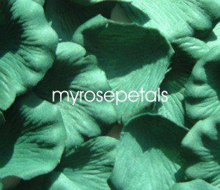 Petals - 1000 Silk Rose Petals Wedding Favors - Solid Colors - Hunter Green