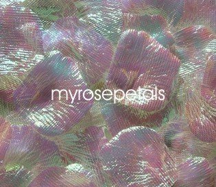 Petals - 1000 Silk Rose Petals Wedding Favors - Solid Colors - Iridescent