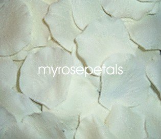 Petals - 1000 Silk Rose Petals Wedding Favors - Solid Colors - Ivory