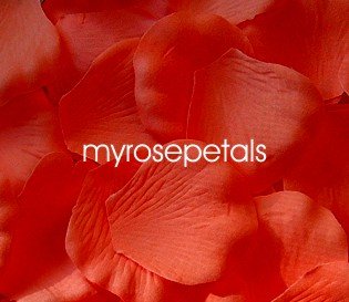Petals - 1000 Silk Rose Petals Wedding Favors - Solid Colors - Orange