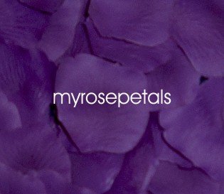 Petals - 1000 Silk Rose Petals Wedding Favors - Solid Colors - Purple
