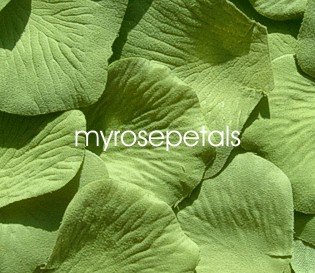 Petals - 1000 Silk Rose Petals Wedding Favors - Solid Colors - Sage