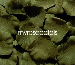 Petals - 1000 Silk Rose Petals Wedding Favors - Solid Colors - Willow
