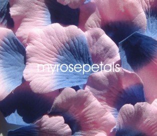 Petals - 1000 Silk Rose Petals Wedding Favors - Two Tone - Blue/Pink