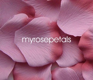 Petals - 1000 Silk Rose Petals Wedding Favors - Two Tone - Dusty Rose/Rose
