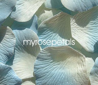 Petals - 1000 Silk Rose Petals Wedding Favors - Two Tone - Ivory/Blue