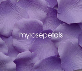 Petals - 1000 Silk Rose Petals Wedding Favors - Two Tone - Light/Dark Purple