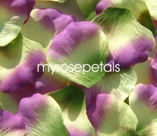 Petals - 1000 Silk Rose Petals Wedding Favors - Two Tone - Multi Color
