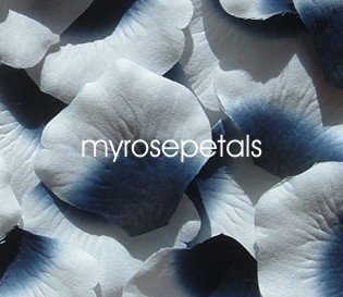 Petals - 1000 Silk Rose Petals Wedding Favors - Two Tone - Navy Blue/White