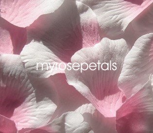 Petals - 1000 Silk Rose Petals Wedding Favors - Two Tone - Pink/White