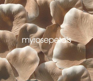 Petals - 1000 Silk Rose Petals Wedding Favors - Two Tone - Toffee/White