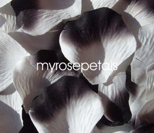 Petals - 1000 Silk Rose Petals Wedding Favors - Two Tone - White/Black