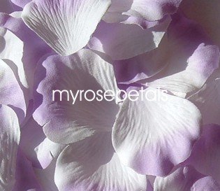 Petals - 1000 Silk Rose Petals Wedding Favors - Two Tone - White/Lavender