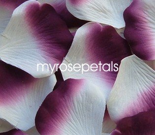 Petals - 1000 Silk Rose Petals Wedding Favors - Two Tone - White/Plum