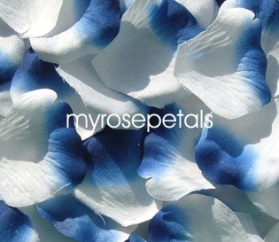 Petals - 1000 Silk Rose Petals Wedding Favors - Two Tone - White/Royal Blue