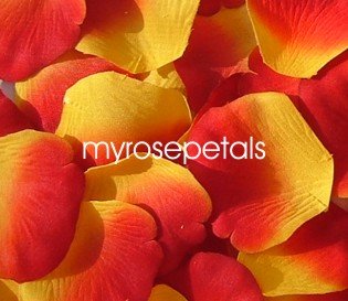 Petals - 1000 Silk Rose Petals Wedding Favors - Two Tone - Yellow/Red