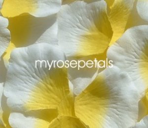 Petals - 1000 Silk Rose Petals Wedding Favors - Two Tone - Yellow/White