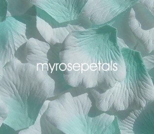 Petals - 200 Silk Rose Petals Wedding Favors - Two Tone - Aqua/White