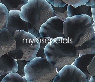 Petals - 200 Silk Rose Petals Wedding Favors - Two Tone - Black/White