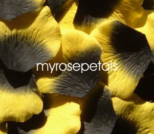 Petals - 200 Silk Rose Petals Wedding Favors - Two Tone - Black/Yellow