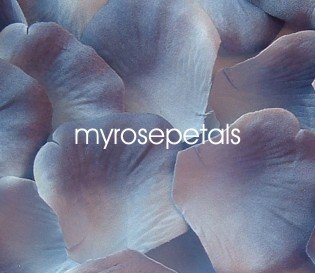 Petals - 200 Silk Rose Petals Wedding Favors - Two Tone - Blue/Periwinkle