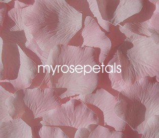 Petals - 200 Silk Rose Petals Wedding Favors - Two Tone - Double Pink