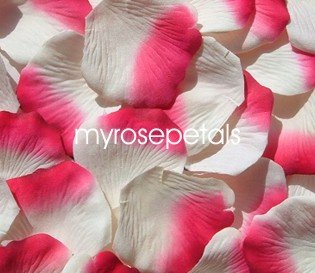 Petals - 200 Silk Rose Petals Wedding Favors - Two Tone - Ivory/Hot Pink