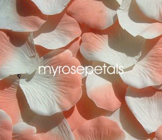 Petals - 200 Silk Rose Petals Wedding Favors - Two Tone - Ivory/Peach