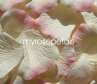 Petals - 200 Silk Rose Petals Wedding Favors - Two Tone - Ivory/Pink