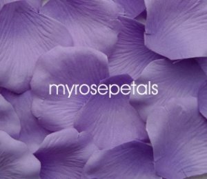 Petals - 200 Silk Rose Petals Wedding Favors - Two Tone - Light/Dark Purple