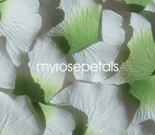 Petals - 200 Silk Rose Petals Wedding Favors - Two Tone - Lime Green/White