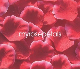 Petals - 200 Silk Rose Petals Wedding Favors - Two Tone - Red/White