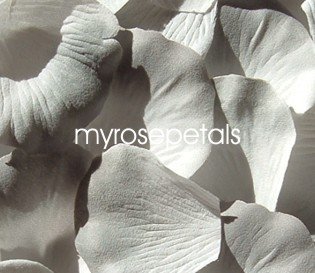 Petals - 200 Silk Rose Petals Wedding Favors - Two Tone - White/Grey