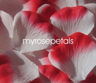 Petals - 200 Silk Rose Petals Wedding Favors - Two Tone - White/Red