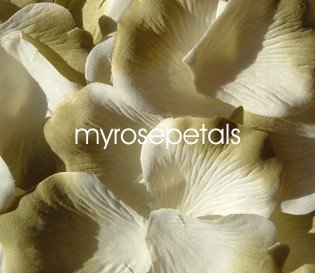 Petals - 200 Silk Rose Petals Wedding Favors - Two Tone - White/Sage