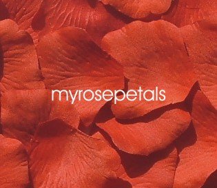 Petals - 200 Silk Rose Petals Wedding Favors - Solid Colors - Deep Orange