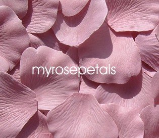 Petals - 200 Silk Rose Petals Wedding Favors - Solid Colors - Dusty Rose