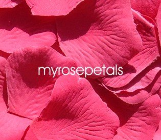 Petals - 200 Silk Rose Petals Wedding Favors - Solid Colors - Hot Pink