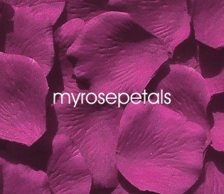Petals - 200 Silk Rose Petals Wedding Favors - Solid Colors - Raspberry