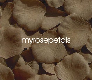 Petals - 200 Silk Rose Petals Wedding Favors - Solid Colors - Toffee